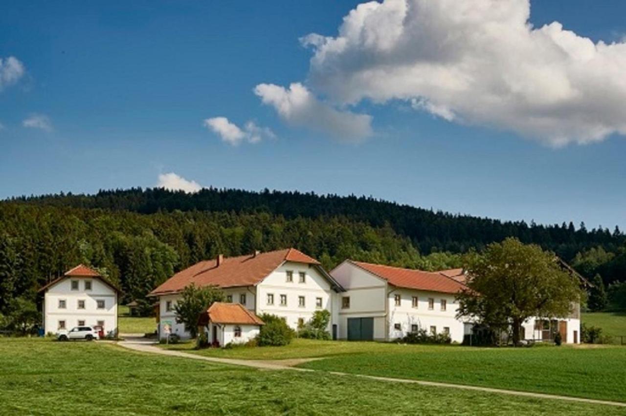 Apartamento Der Breinhof - Euer Urlaubsbauernhof Waldkirchen Exterior foto