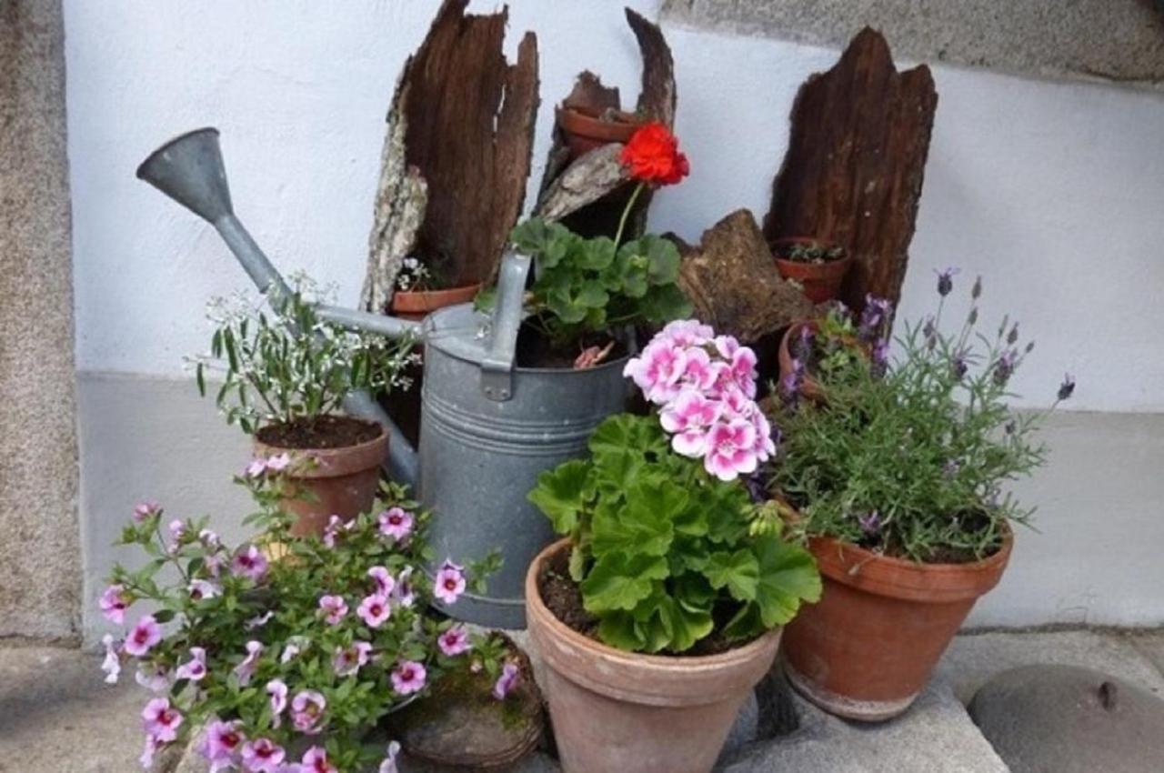 Apartamento Der Breinhof - Euer Urlaubsbauernhof Waldkirchen Exterior foto